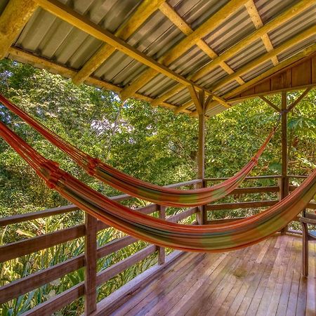 Selva Bananito Lodge Westfalia エクステリア 写真