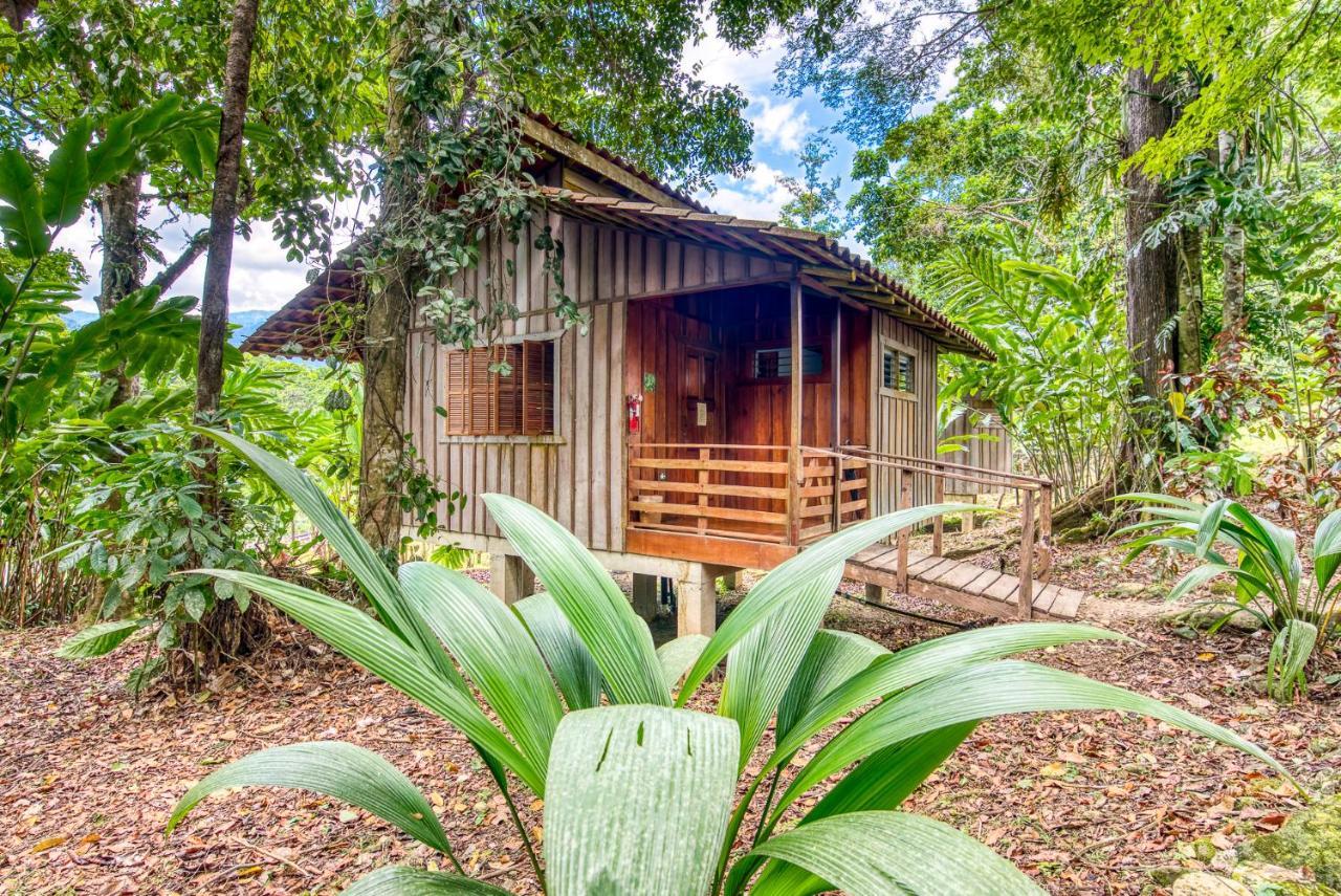 Selva Bananito Lodge Westfalia エクステリア 写真