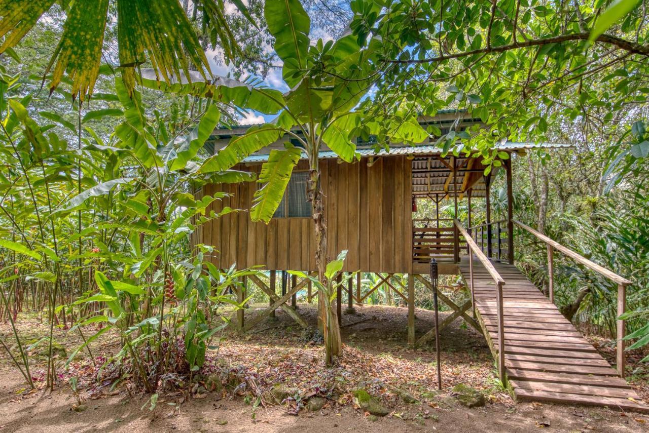 Selva Bananito Lodge Westfalia エクステリア 写真