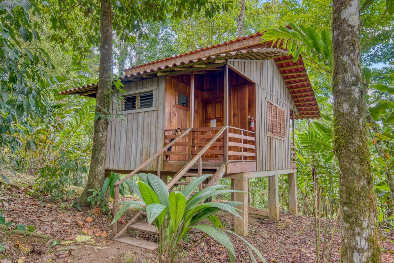 Selva Bananito Lodge Westfalia エクステリア 写真