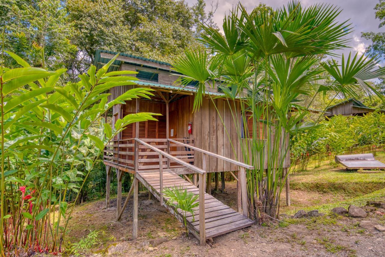 Selva Bananito Lodge Westfalia エクステリア 写真
