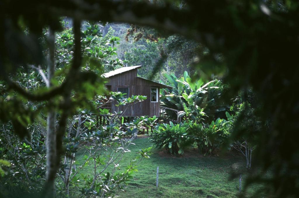 Selva Bananito Lodge Westfalia 部屋 写真