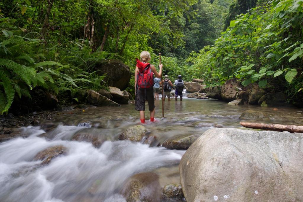 Selva Bananito Lodge Westfalia エクステリア 写真