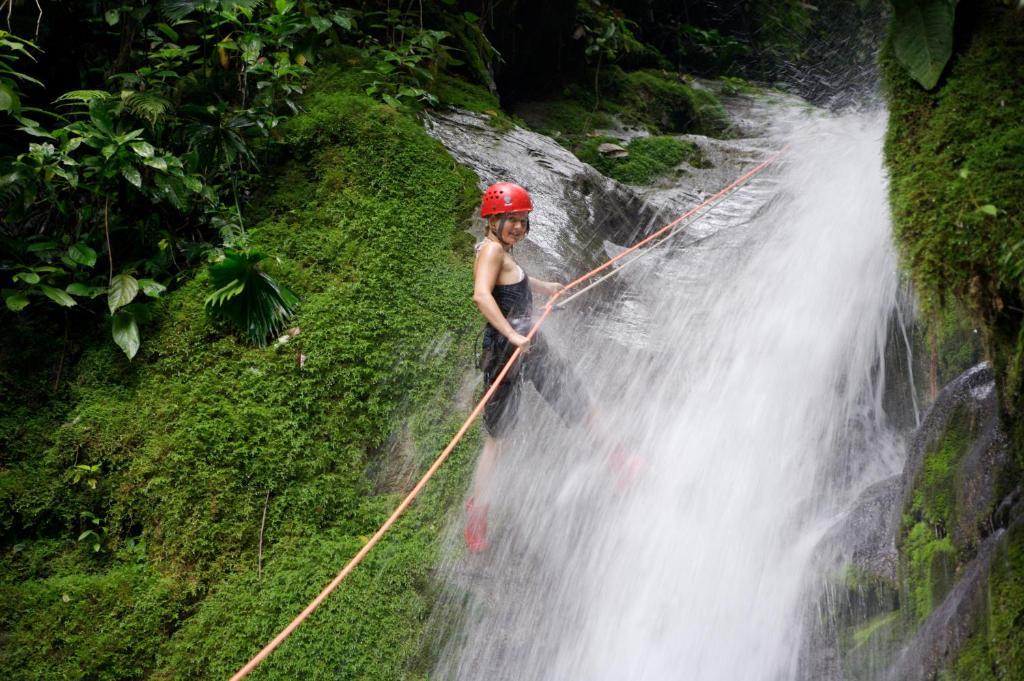 Selva Bananito Lodge Westfalia エクステリア 写真