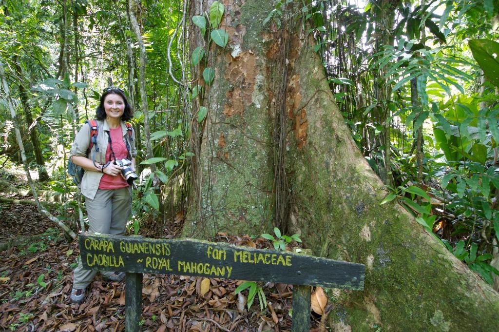 Selva Bananito Lodge Westfalia エクステリア 写真