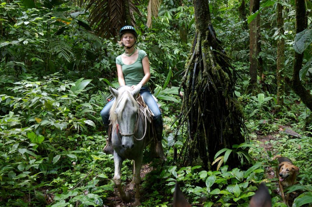 Selva Bananito Lodge Westfalia エクステリア 写真