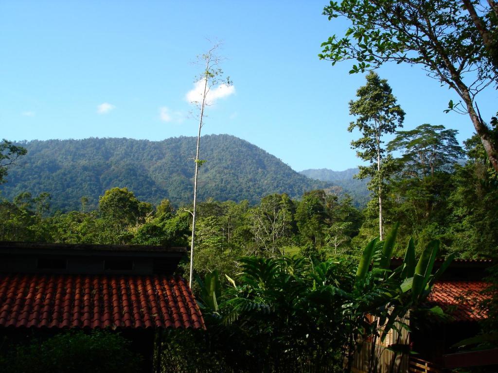 Selva Bananito Lodge Westfalia エクステリア 写真