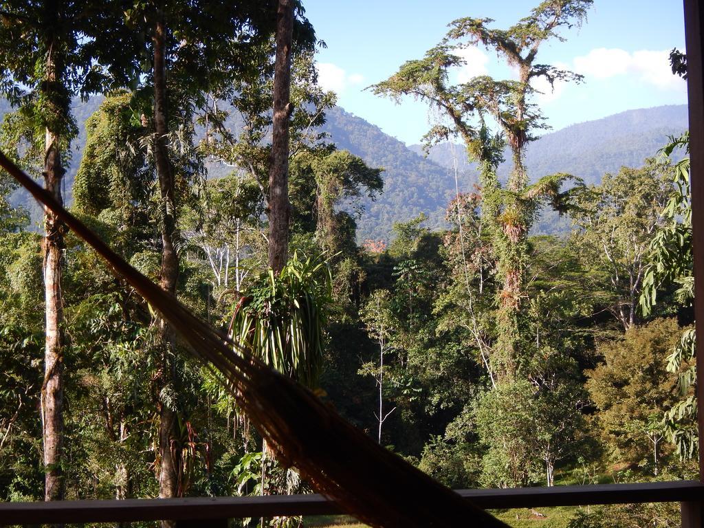 Selva Bananito Lodge Westfalia 部屋 写真